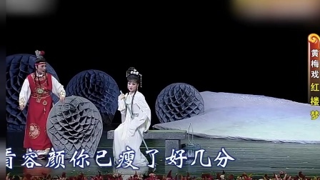 黄梅戏《红楼梦》选段 你这样也是自作贱 看