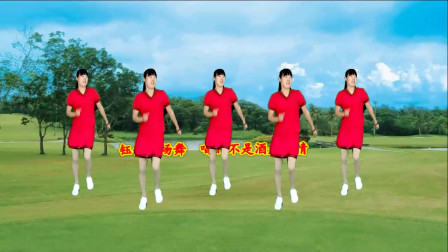 广场舞《喝的不是酒是感情》动感步子舞附教