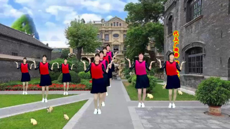 广场舞李克勤经典老歌《护花使者》附教学