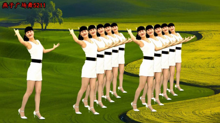 燕子广场舞《回头看看我》简单步子舞 附分