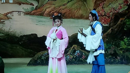 黄梅戏《天仙配》经典片段 袁媛 赵章伟表演下载