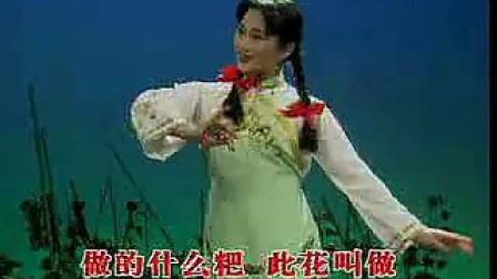 黄梅戏《对花》经典原唱