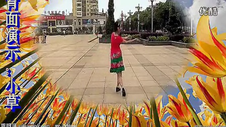 高安子君广场舞《草原一枝花》（附背面和分解
