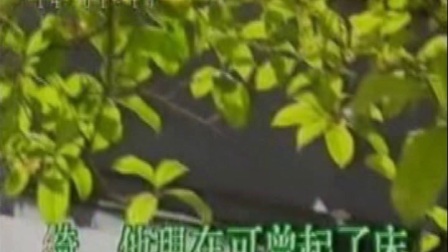 沪剧 《雷雨》 盘凤