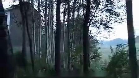 上党鼓书 《归根》