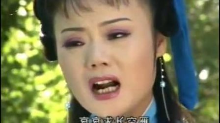 庐剧《苦菜花》电视版 全 吴南野 陈应兰 刘