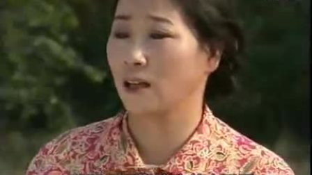 庐剧《狠心的晚娘》电视版 刘长芳 吴南野 昂小红 张丽 曹培祥下载