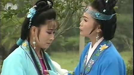 庐剧 《张秀英卖子》 杏花带