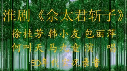 淮剧《佘太君斩子》徐桂芳 韩小友 包丽萍 何叫天 马九童演唱下载