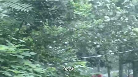 安徽民间小调《憨子告娘》