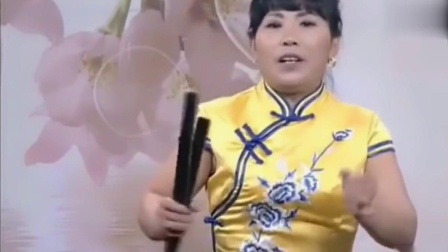 河南坠子《刘天顺下山遇贼》胡银花唱得太好听了下载