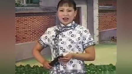 河南坠子《大姑娘妨女婿》胡中花01