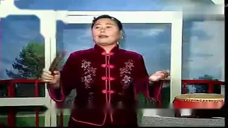 河南坠子《竒跷案》全本