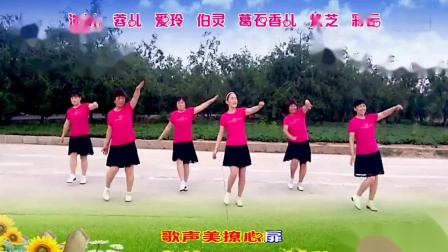 葛石香儿广场舞《凤凰飞》迪斯科广场舞24步下载
