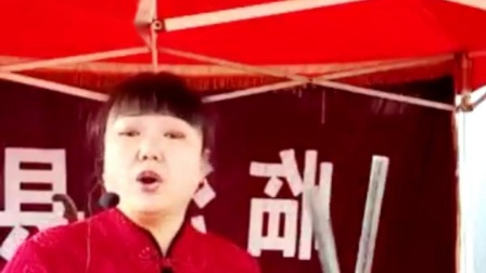 河南坠子《少侠包公案》部分