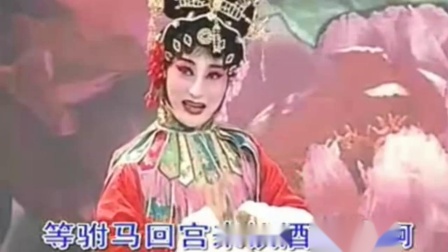 淮剧《打金枝》选段   唐君蕊头戴翠冠凤展翅   陈澄下载