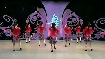 杨艺广场舞背面演示《蝶恋花》下载