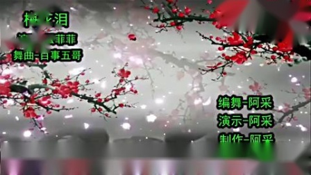 阿采广场舞原创《梅花泪》