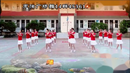 惠汝广场舞 快乐舞动 20人变队形串烧下载