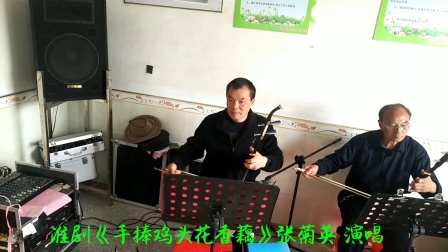 淮剧《手捧鸡头花香藕》张菊英 演唱