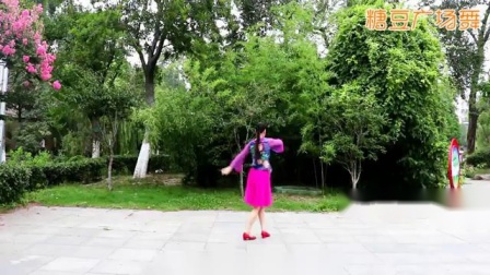 刘荣广场舞《兄妹情深》1下载
