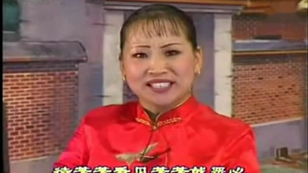 河南坠子《善恶必报》全场 胡中花