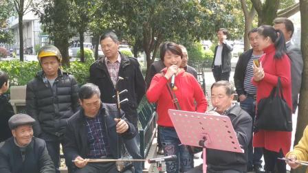 《青龙山》浦江婺剧戏迷演唱