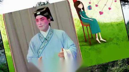淮剧《祥林嫂》选段 花轿临门喜盈盈 演唱 
