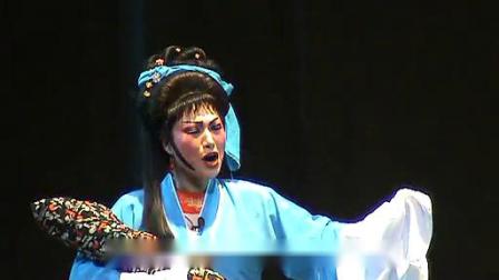 扬剧《白兔记》（二）  天长市金花扬剧团演出