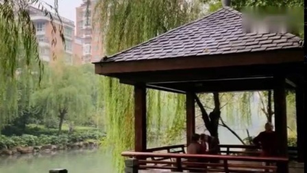 淮剧老唱片《罗英访贤》高春林 周凤英演唱下载