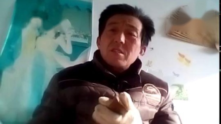 安徽大鼓与琴书《杨爱狼开山救母》刘元璋
