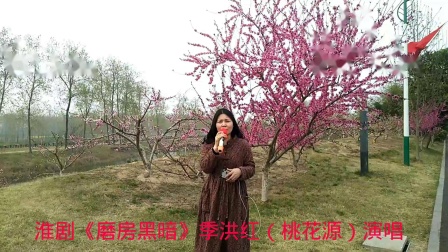 淮剧《磨房黑暗》季洪红（桃花源）演唱
