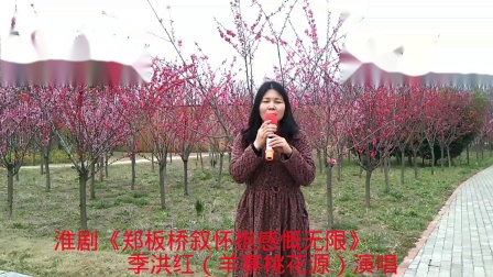 淮剧《郑板桥叙怀抱感慨无限》季洪红（羊寨桃花源）演唱