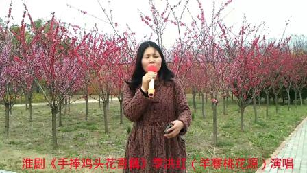 淮剧《手捧鸡头花香藕》季洪红（羊寨桃花源）演