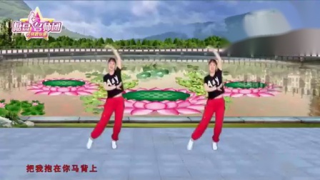 惠汝广场舞 《火火的情郎》 32步 背面下载