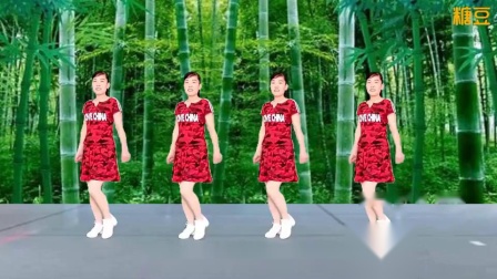玫香广场舞《人这一辈子图个啥》32步 演示