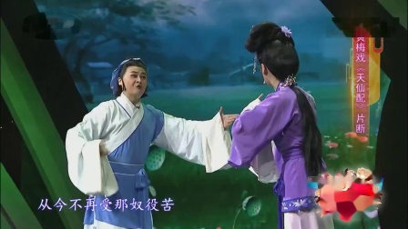 黄梅戏《天仙配》片断表演 王美 黄少勇下载