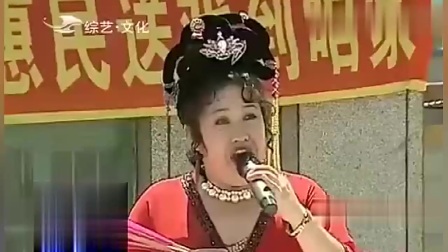 二人转正戏《西厢观花》孙文学 李桂艳下载