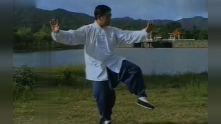 杨氏太极拳入门教学 太极拳85式转身右蹬脚 