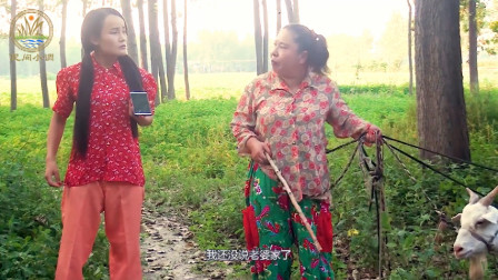 民间小调 两个傻妮为了找婆家在地里打起来了下载
