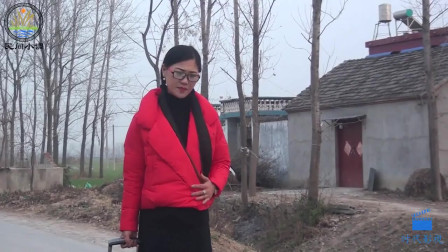 民间小调 这俩光棍有福了 美女亲自上门给他
