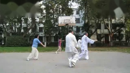 杨氏太极拳85式（配拳理解读）