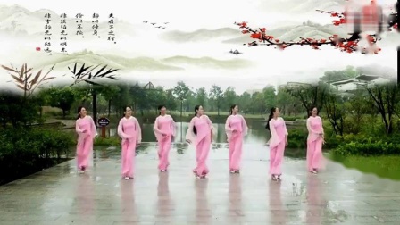 张春丽广场舞《 一枝梅》 正背表演下载