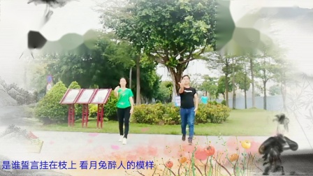 学跳云裳广场舞《月亮的味道》