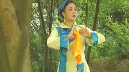 湖南花鼓戏《桑女投江》丁向荣 孙四清下载