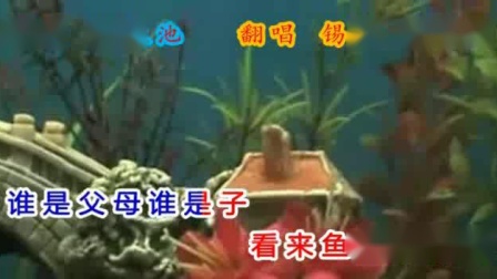 锡剧《放生池》 锡哥  雨中人