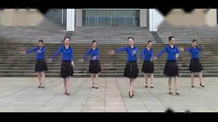 紫蝶踏歌广场舞 《这条街》 附分解教学下载