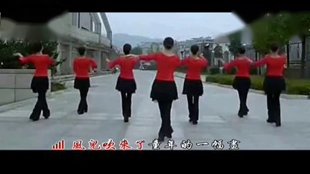 紫蝶踏歌广场舞 《小小新娘花》 动作分解教下载