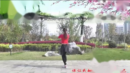 动动广场舞 《特别的爱给特别的你》 背面