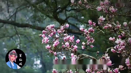 莆仙戏《王昭君》选段